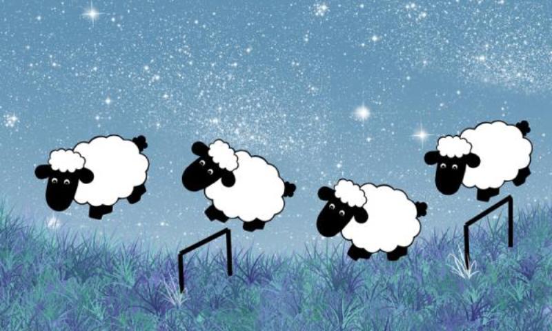 Η σπαζοκεφαλιά που έχει «τρελάνει» το διαδίκτυο: Μπορείτε να βρείτε το πρόβατο που κοιμάται σε αυτή την εικόνα; (Photo) - Media