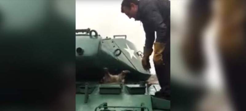 Μοναδικό: Ρακούν…σφήνωσε σε άρμα μάχης (Video) - Media
