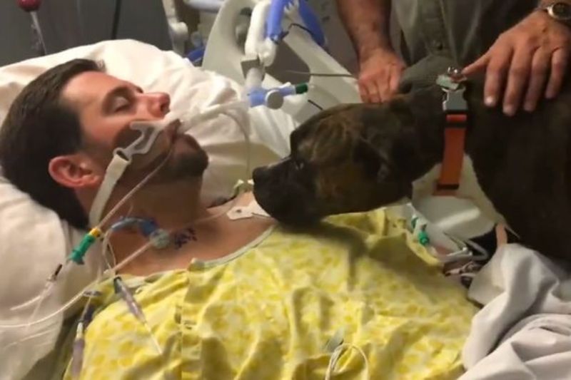 Εκπληκτική στιγμή: Νοσοκομείο επιτρέπει την είσοδο σε σκύλο για να αποχαιρετήσει τον ιδιοκτήτη του (Video) - Media