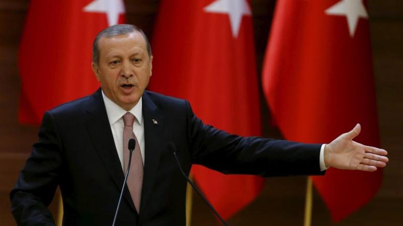 Μήνυση στον Ερντογάν για «παράβλεψη κατοχής 16 ελληνικών βραχονησίδων» - Media