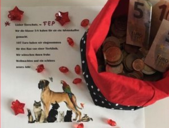 Γερμανοί μαθητές μάζεψαν χρήματα για φιλοζωικό σωματείο της Πάρου! - Media