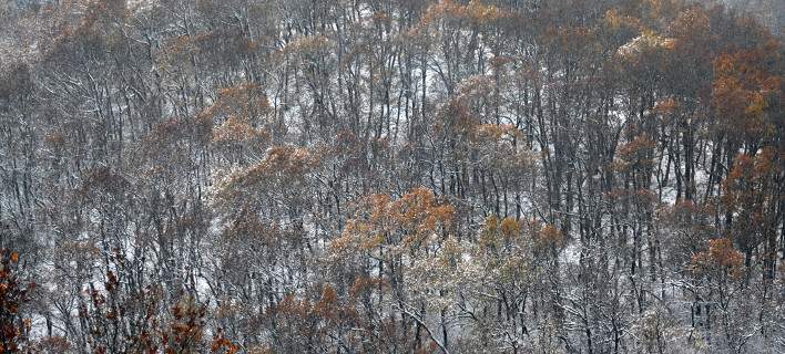 Χιόνια και πτώση της θερμοκρασίας την Παρασκευή - Media