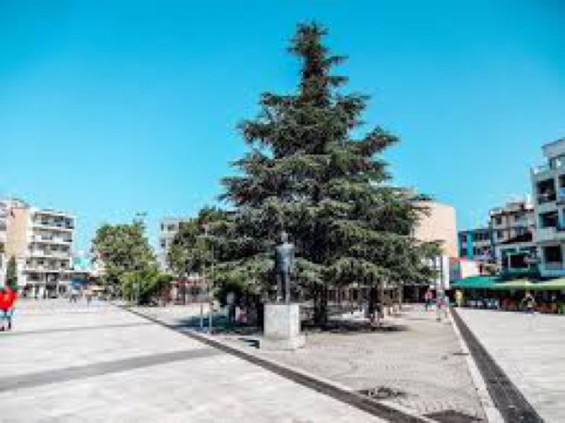 Κατέστρεψαν το χριστουγεννιάτικο δέντρο στην Κομοτηνή - Media