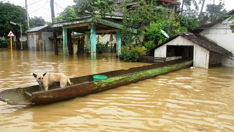 Φιλιππίνες: Τουλάχιστον τέσσερις νεκροί από τον τυφώνα Νοκ-Τεν - Media