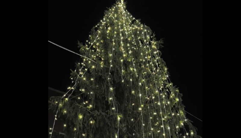 Αυτό είναι το πιο άσχημο χριστουγεννιάτικο δέντρο του κόσμου (Photos-Video) - Media