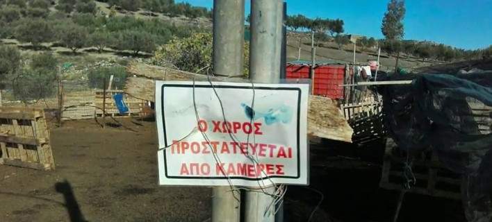 To πιο χάι τεκ μαντρί βρίσκεται στην Κρήτη - Με κάμερες, συναγερμό και 24ωρη online παρακολούθηση! (Video) - Media