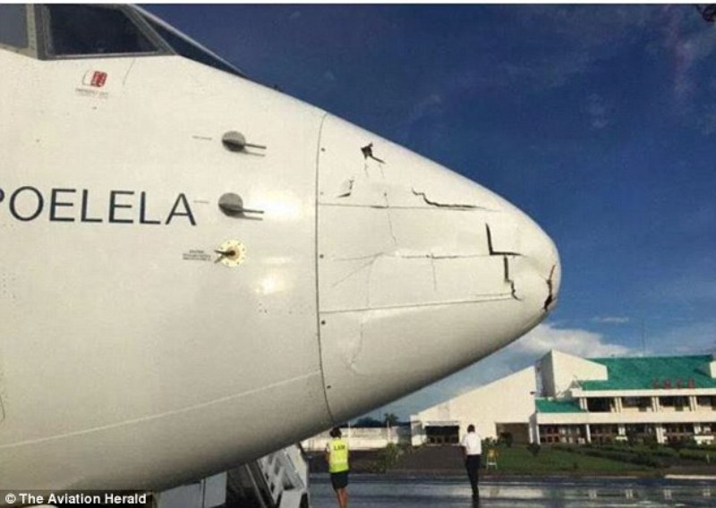 Τελικά δεν ήταν πουλί αυτό που συγκρούστηκε με αεροπλάνο όταν προσγειωνόταν στη Μοζαμβίκη (Photos) - Media