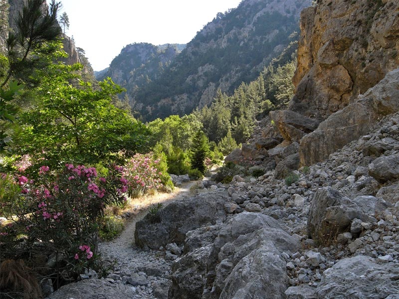 Ζευγάρι εγκλωβίστηκε στο φαράγγι της Αγίας Ειρήνης - Media