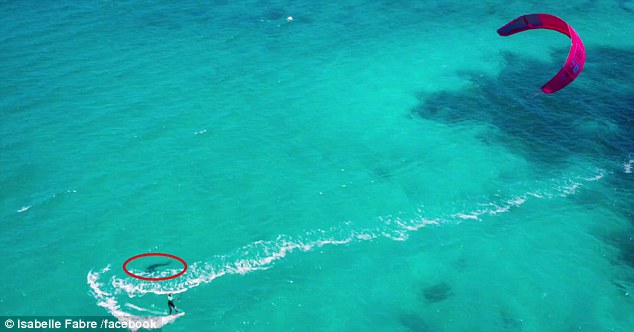 Πέρασε λίγα εκατοστά από μεγάλο καρχαρία (Photos-Video)  - Media