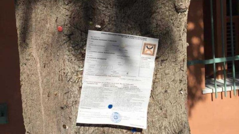 Κρήτη: …Έκοψαν κλήση σε δέντρο  - Media