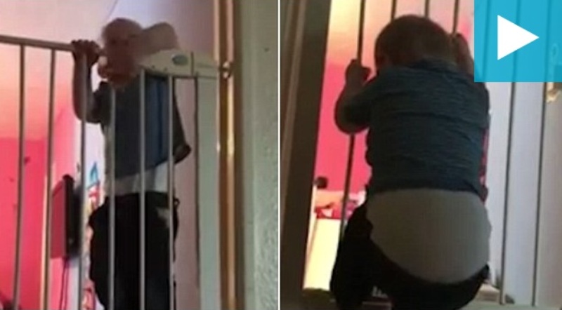 Η μεγάλη… απόδραση- Μωρό-ορειβάτης σκαρφαλώνει παντού (Photos-Video) - Media