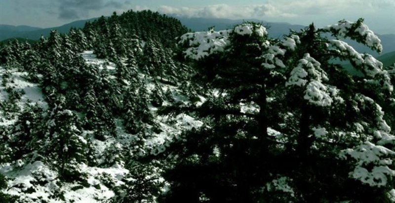 Ξεπάρκαρε το αυτοκίνητο κι έπεσε σε περίπτερο (Video) - Media