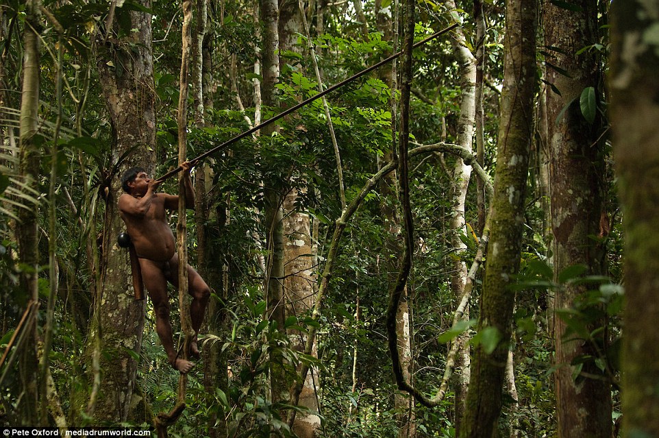 Κυνηγοί μαϊμούδων: Η φυλή του Αμαζονίου με όπλο το φυσοκάλαμο (Photos) - Media