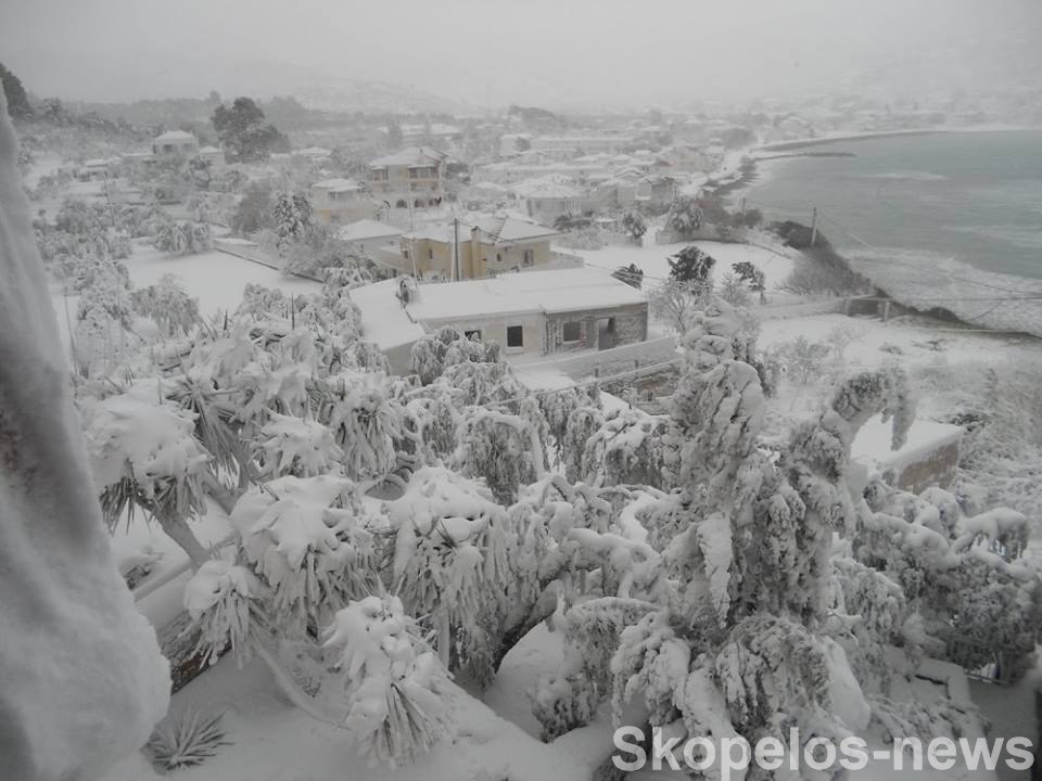 Προσπάθειες απεγκλωβισμού κτηνοτρόφων στη Σκόπελο-Συνεχίζονται τα προβλήματα από τον χιονιά - Media