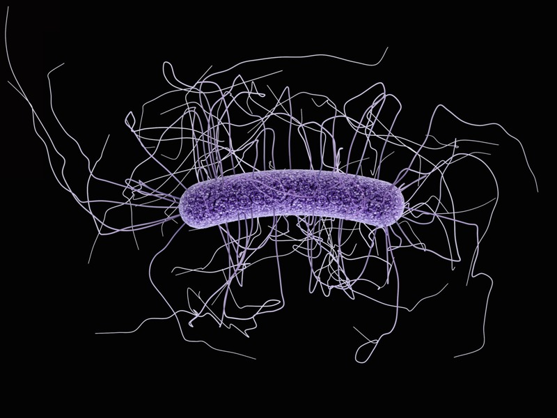 Συναγερμός στην επιστημονική κοινότητα: Βρέθηκε «υπερ-ιός» ανθεκτικός σε όλα τα αντιβιοτικά - Media