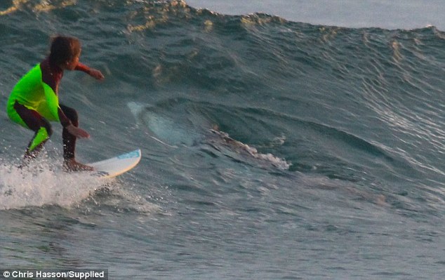 Τρομακτικό τετ α τετ 10χρονου σέρφερ με λευκό καρχαρία (Photos) - Media