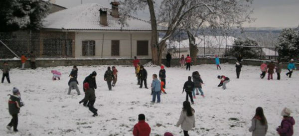 Από τις 10:00 και μετά θα ανοίξουν τα σχολεία στον Δήμο Τρικκαίων - Media