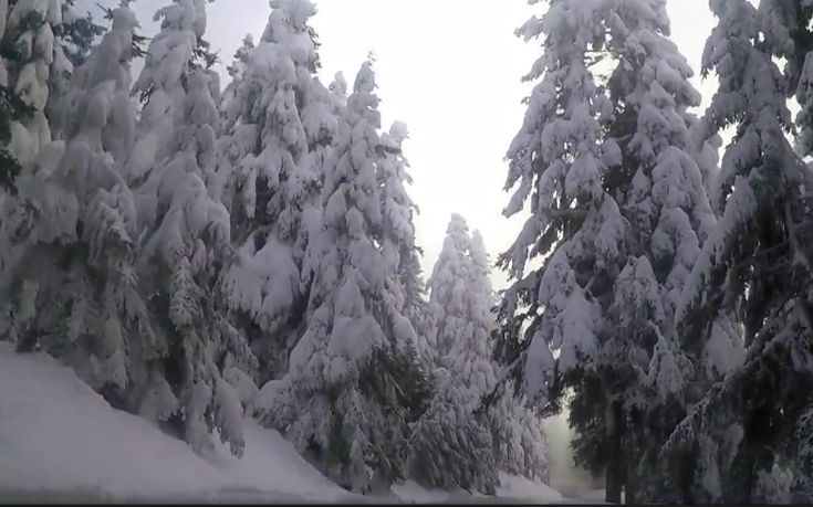 Ο χειμώνας επέστρεψε στα Ιωάννινα με χιόνια και χαμηλές θερμοκρασίες - Media
