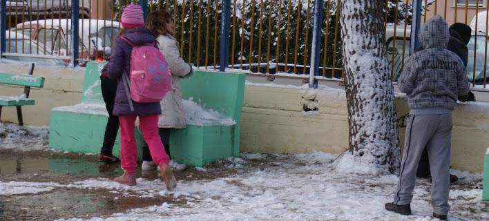 Κλειστά σήμερα τα σχολεία στα Τρίκαλα-Ανοικτοί οι Παιδικοί Σταθμοί στην Καρδίτσα	 - Media