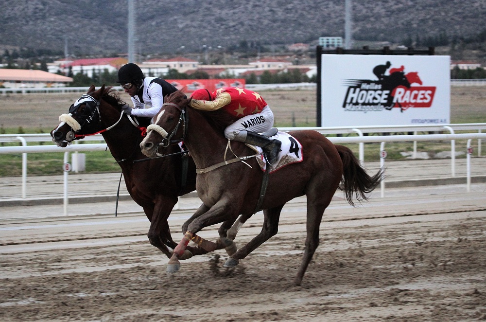 Υψηλό θέαμα και αυτό το Σάββατο στο Μαρκόπουλο από την Ιπποδρομίες ΑΕ - Media