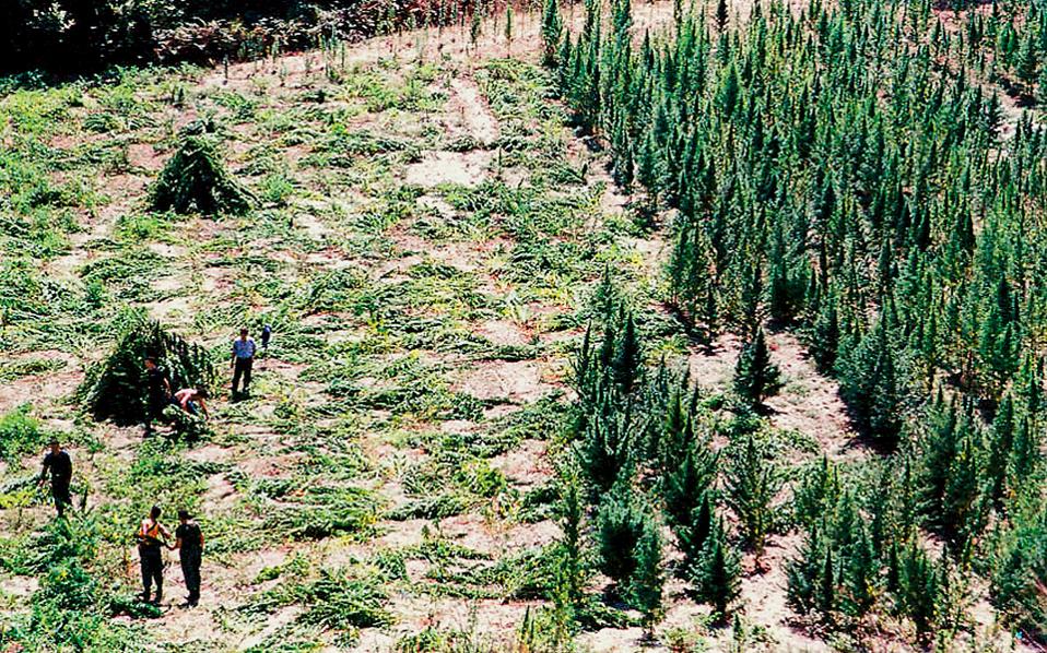 Έρευνα της ΕΛ.ΑΣ. για τον «Εσκομπάρ των Βαλκανίων» προκαλεί πολιτική κρίση στην Αλβανία - Media