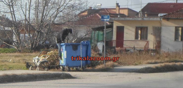 Τραγικές καταστάσεις στα Τρίκαλα: Μπήκε ολόκληρος μέσα στον κάδο σκουπιδιών ένας άνδρας (Photos) - Media