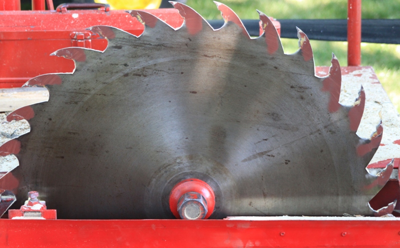 Φρίκη: Διαμέλησε το σύντροφό της με δισκοπρίονο την ώρα του σεξουαλικού παιχνιδιού - Media