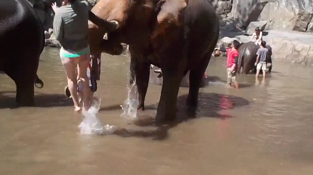 Nα γιατί δεν πρέπει να εκνευρίζετε έναν ελέφαντα (Photos-Video) - Media