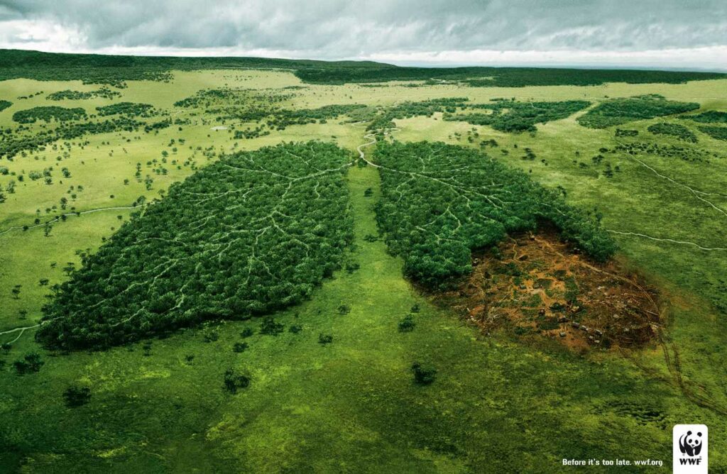 WWF: Μόνο στα χαρτιά η προστασία άνω του 50% των φυσικών περιοχών της Ευρώπης - Media