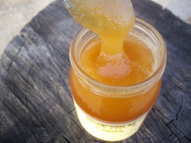 Γιατί «ζαχαρώνει» το μέλι και πώς γίνεται εύκολα ξανά ρευστό (Video) - Media