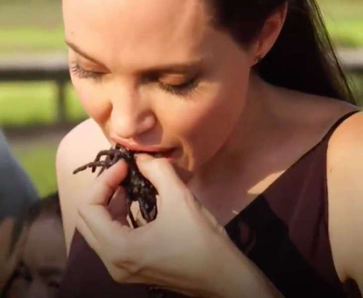 Απίστευτη εικόνα: Η Τζολί τρώει… σκορπιούς και αράχνες στο ταξίδι της στην Καμπότζη (Video) - Media