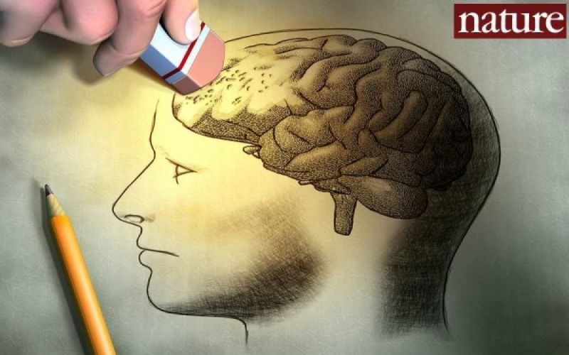 Θέλετε να διαγράψετε τις άσχημες αναμνήσεις; Οι επιστήμονες βρήκαν τον τρόπο - Media