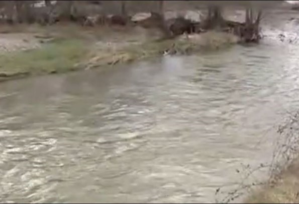 Το συγκλονιστικό αντίο της συζύγου του οδηγού ταξί στον άντρα της (Video)  - Media