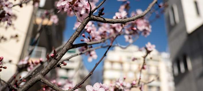 Ανεβαίνει κι άλλο η θερμοκρασία - Η πρόγνωση της ΕΜΥ - Media