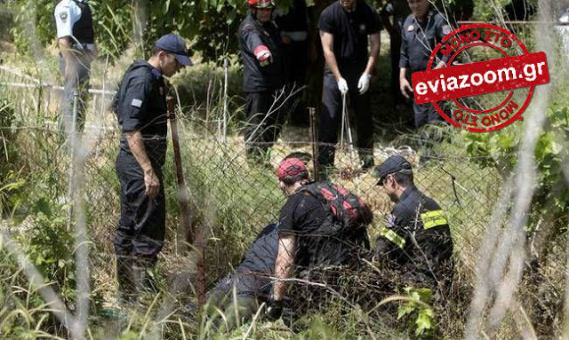 Πήγε να μαζέψει χόρτα στην Εύβοια και παραλίγο να χάσει τη ζωή του - Media