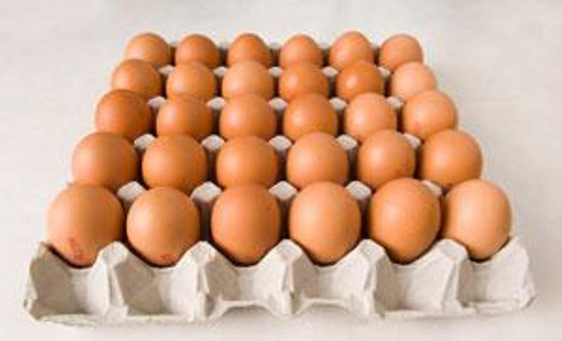 Ευρωπαϊκή Επιτροπή: Έκτακτη σύσκεψη για τα μολυσμένα αυγά - Media