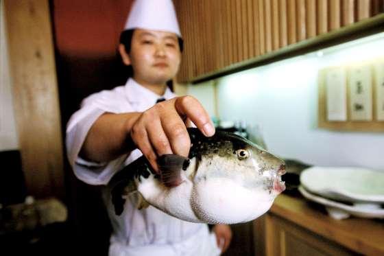 Τρόμος στην Ιαπωνία: Πουλήθηκε κατά λάθος δηλητηριώδες ψάρι για σούσι (Photo, Video) - Media