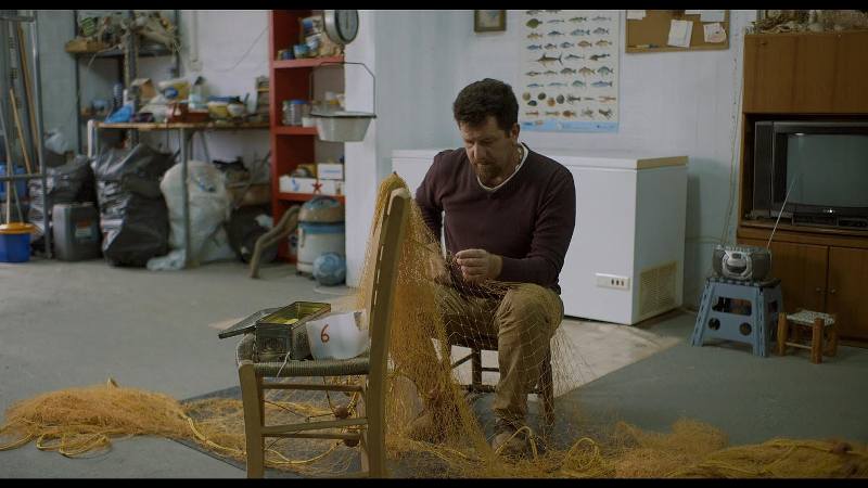 Ο συν-ιδρυτής του Surfers4Life & ο Ανδριώτης ψαράς που μάχεται για την προστασία της θάλασσας στους «Φάρους» του COSMOTE HISTORY - Media