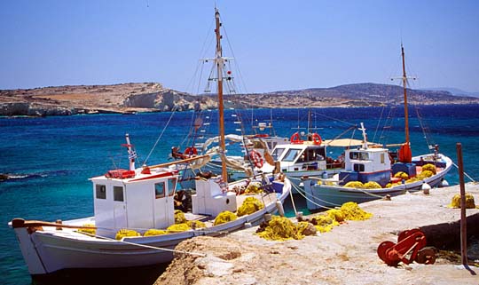 Σπάνιο είδος φάλαινας στα δίχτυα ψαρά στην Κρήτη (Photos) - Media