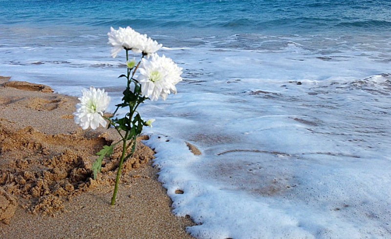 Κηδεύτηκε ο «Αϊλάν της Ισπανίας»- Ο εξάχρονος Κογκολέζος Σαμουέλ - Media