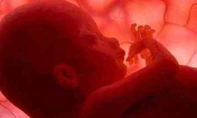 Φρίκη: Βοσκός βρήκε σχηματισμένα έμβρυα σε γυάλες έξω από νεκροταφείο - Media