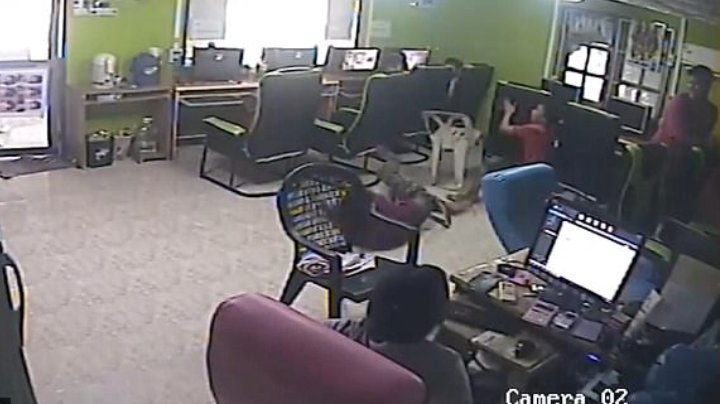 Τρόμος σε ίντερνετ καφέ: Φίδι «μπούκαρε» στο κατάστημα (Video) - Media