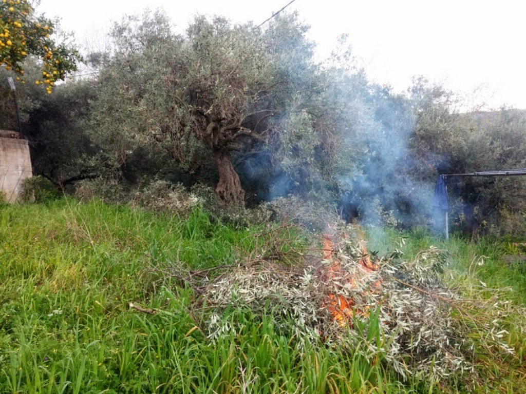 Κρήτη: Κάηκε ζωντανός στην προσπάθειά του να κάψει κλαδιά - Media