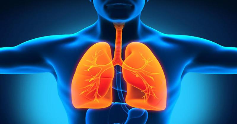 Καρκίνος του πνεύμονα: Θεραπεία πρώτης γραμμής αλλάζει το τοπίο στην αντιμετώπισή του - Media