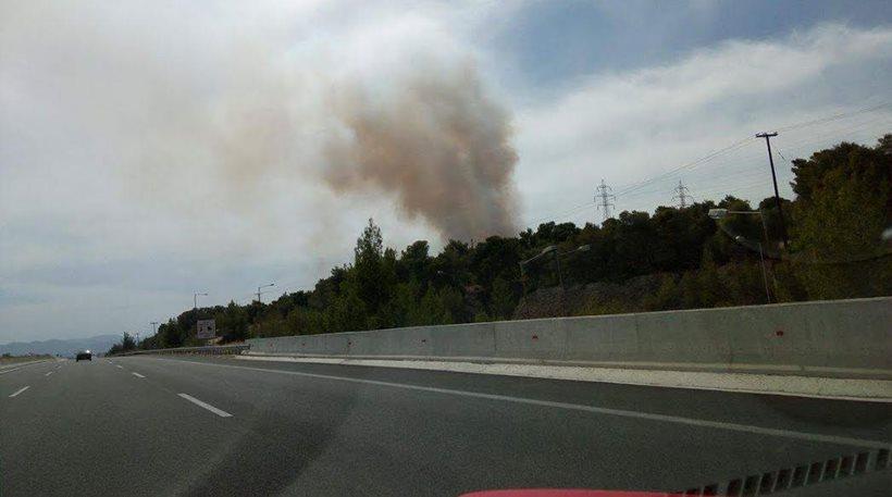 Κοντά σε σπίτια η πυρκαγιά στους Αγίους Θεοδώρους - Ισχυροί άνεμοι στην περιοχή  - Media