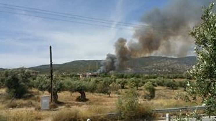 Βίντεο από τη μεγάλη πυρκαγιά στους Αγ. Θεοδώρους (Video) - Media