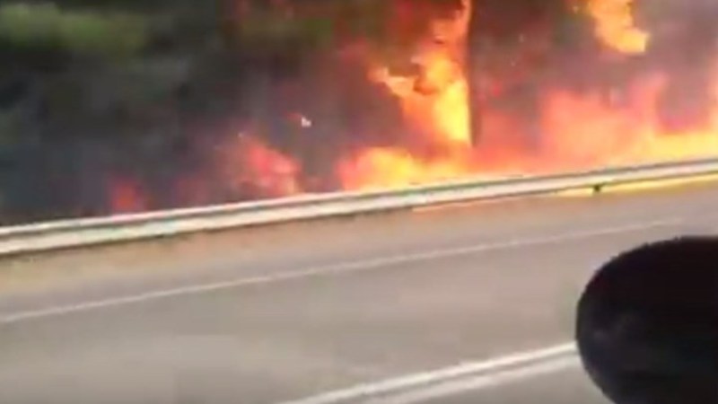 Πυρκαγιά στην εθνική οδό Πατρών - Πύργου (Video) - Media