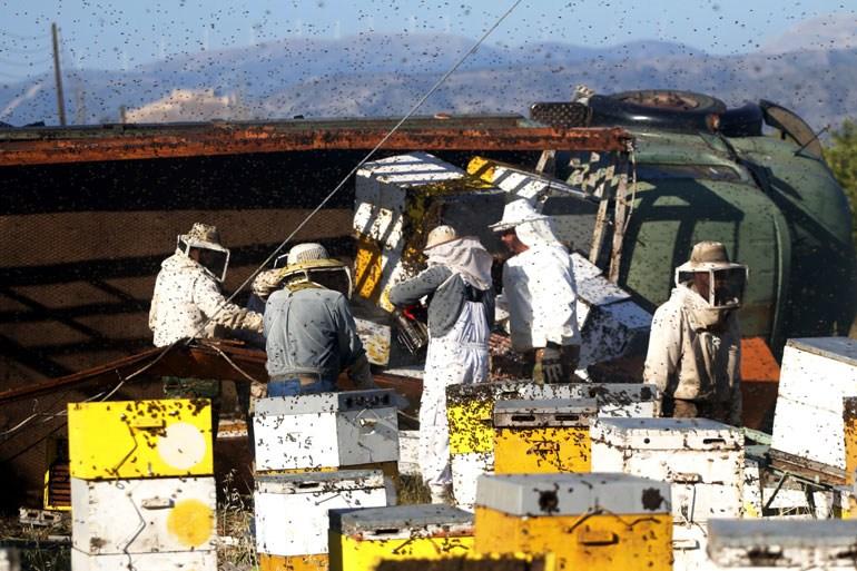 Αμέτρητοι Αγιο-Βασίληδες «πλημμύρισαν» τα Χανιά! (Photos) - Media