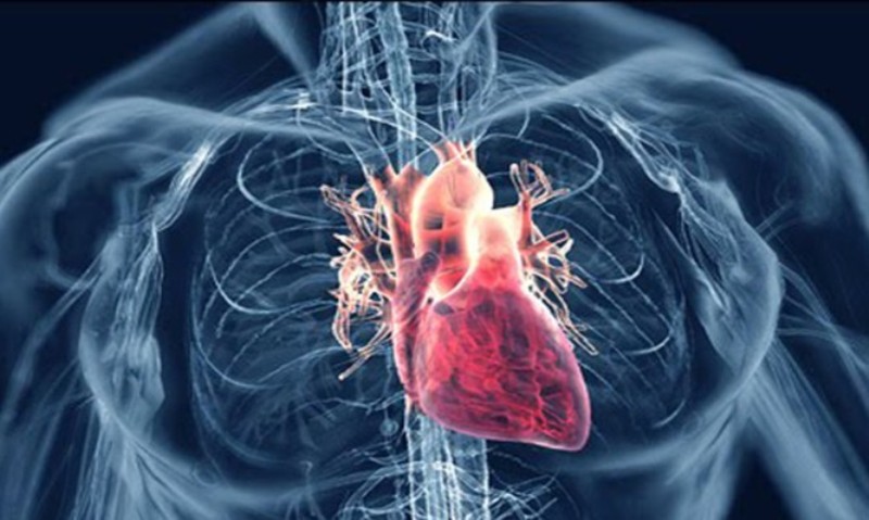 «Σιωπηλή» καρδιακή προσβολή: Προσοχή στα συμπτώματα – Πώς θα τα αναγνωρίσετε - Media