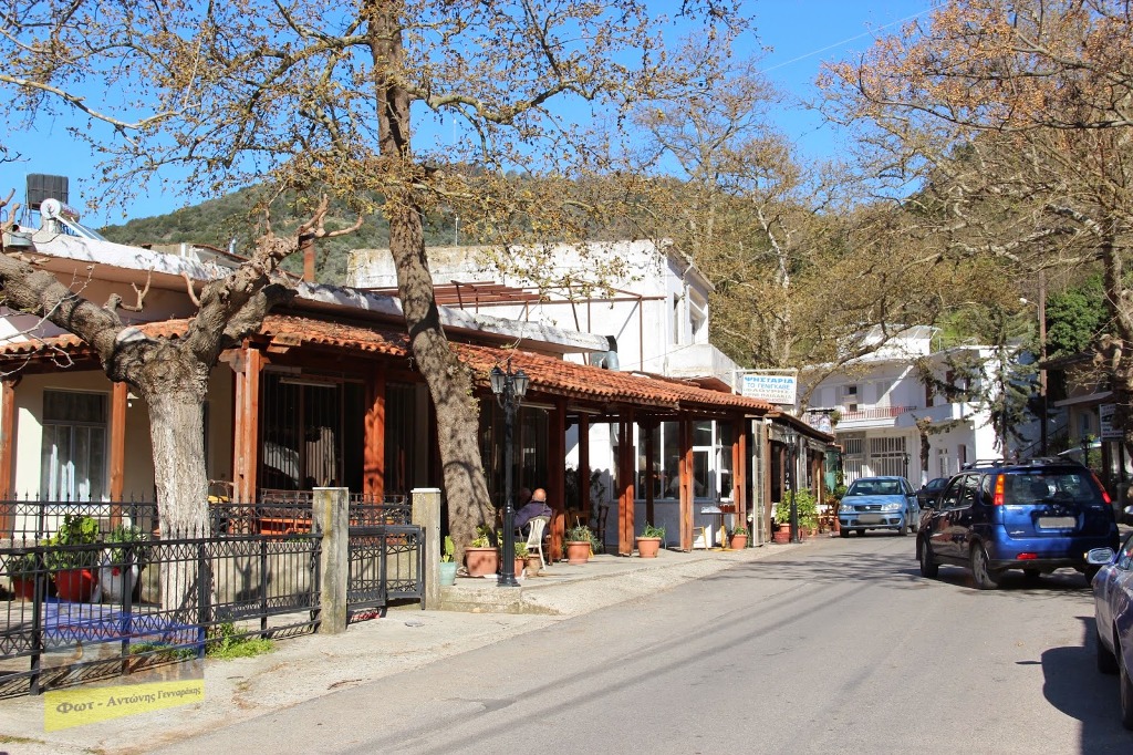 Σε αυτό το χωριό της Κρήτης έχουν ένα γονίδιο που τους προστατεύει από τη χοληστερίνη - Media